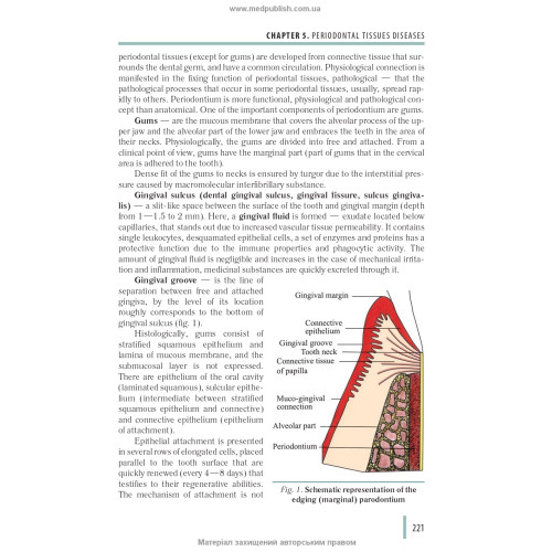 Stomatology: in 2 books. — Book 2: textbook (IV a. l.) / M.M. Rozhko, I.I. Kyrylenko, O.H. Denysenko et al.; edited by M.M. Rozhko