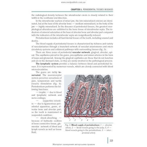 Stomatology: in 2 books. — Book 2: textbook (IV a. l.) / M.M. Rozhko, I.I. Kyrylenko, O.H. Denysenko et al.; edited by M.M. Rozhko