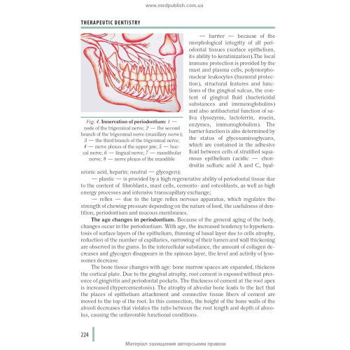 Stomatology: in 2 books. — Book 2: textbook (IV a. l.) / M.M. Rozhko, I.I. Kyrylenko, O.H. Denysenko et al.; edited by M.M. Rozhko