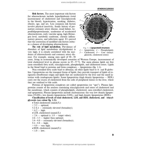 Internal Medicine: in 2 books. Book 1. Diseases of the Cardiovascular and Respiratory Systems: textbook / N.M. Seredyuk, I.P. Vakaliuk, R.I. Yatsyshyn et al.