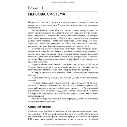Анатомія та фізіологія людини / С.О. Куц, А.В. Степанова. — 6-е видання