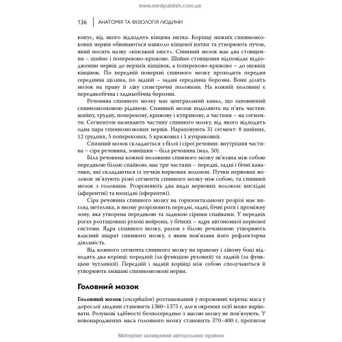 Анатомія та фізіологія людини / С.О. Куц, А.В. Степанова. — 6-е видання