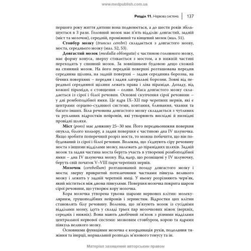 Анатомія та фізіологія людини / С.О. Куц, А.В. Степанова. — 6-е видання