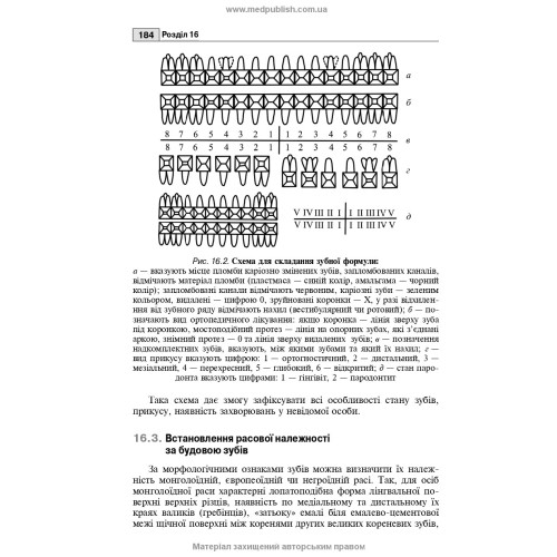 Судова стоматологія: підручник / Б.В. Михайличенко, А.М. Біляков, В.В. Франчук