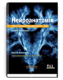 Нейроанатомія: текст і кольорові ілюстрації: 7-е видання / Алан Р. Кроссман
