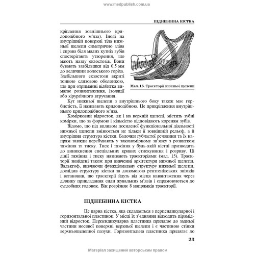 Техніка виготовлення знімних протезів: підручник / П.С. Фліс, Т.М. Банних. — 3-є видання