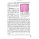 Periodontal and Oral Mucosa Diseases: in 2 volumes. — Volume 2: textbook (IV a. l.) / A.V. Borysenko, L.V. Lynovytska, О.F. Nesyn et al.; edited by A.V. Borysenko