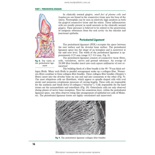Periodontal and Oral Mucosa Diseases: in 2 volumes. — Volume 2: textbook (IV a. l.) / A.V. Borysenko, L.V. Lynovytska, О.F. Nesyn et al.; edited by A.V. Borysenko