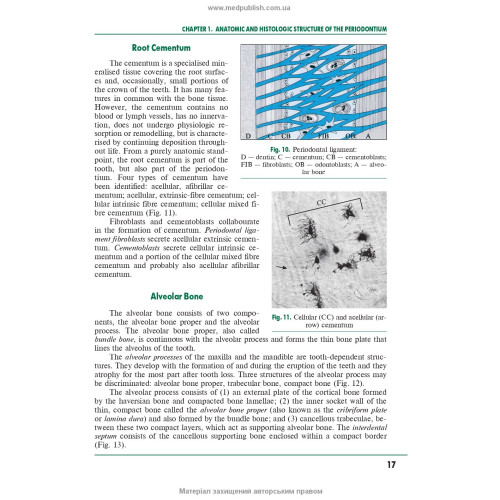 Periodontal and Oral Mucosa Diseases: in 2 volumes. — Volume 2: textbook (IV a. l.) / A.V. Borysenko, L.V. Lynovytska, О.F. Nesyn et al.; edited by A.V. Borysenko