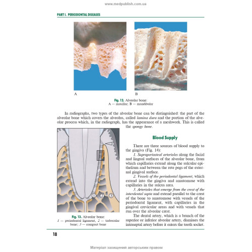 Periodontal and Oral Mucosa Diseases: in 2 volumes. — Volume 2: textbook (IV a. l.) / A.V. Borysenko, L.V. Lynovytska, О.F. Nesyn et al.; edited by A.V. Borysenko