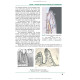 Periodontal and Oral Mucosa Diseases: in 2 volumes. — Volume 2: textbook (IV a. l.) / A.V. Borysenko, L.V. Lynovytska, О.F. Nesyn et al.; edited by A.V. Borysenko