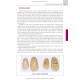 Prosthetic Dentistry: textbook / M.M. Rozhko, V.P. Nespriadko, I.V. Paliichuk et al.