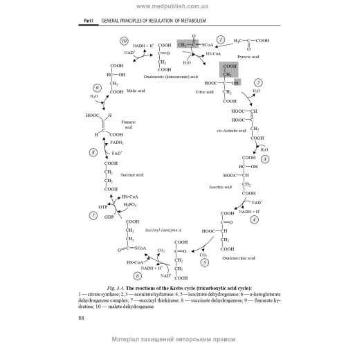Biological and Bioorganic Chemistry: in 2 books. Book 2. Biological Chemistry: textbook / Yu.I. Gubsky, I.V. Nizhenkovska, М.М. Korda et al. — 2nd edition
