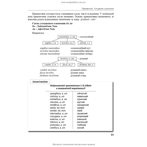 Латинська мова та основи медичної термінології: підручник / Л.Ю. Смольська, П.А. Содомора, Д.Г. Шега та ін. — 4-е видання