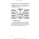 Основи медичної інформатики. Практикум / Т.І. Бондаренко