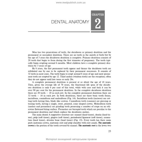 Operative Dentistry. Endodontics: in 2 volumes. Volume 1: textbook / M.Yu. Antonenko, L.F. Sidelnikova, O.F. Nesyn et al. — 2nd edition