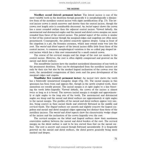 Operative Dentistry. Endodontics: in 2 volumes. Volume 1: textbook / M.Yu. Antonenko, L.F. Sidelnikova, O.F. Nesyn et al. — 2nd edition