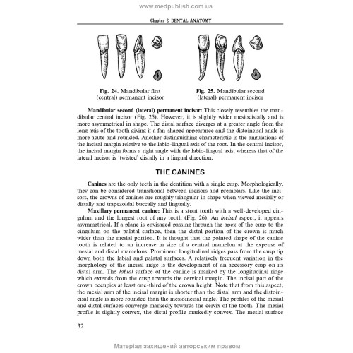 Operative Dentistry. Endodontics: in 2 volumes. Volume 1: textbook / M.Yu. Antonenko, L.F. Sidelnikova, O.F. Nesyn et al. — 2nd edition