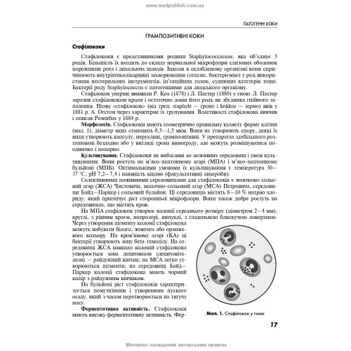 Мікробіологія з технікою мікробіологічних досліджень, вірусологія та імунологія. Спеціальна мікробіологія / В.А. Люта, О.В. Кононов. — 3-є видання