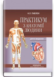 Практикум з анатомії людини: навчальний посібник / Н.Л. Павлюк. — 2-е видання